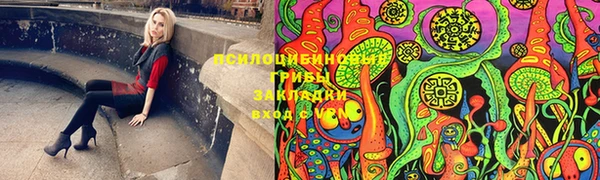 тгк Армянск