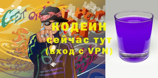 сатива Новозыбков