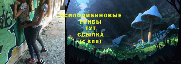 тгк Армянск